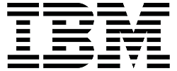 brand ibm logo